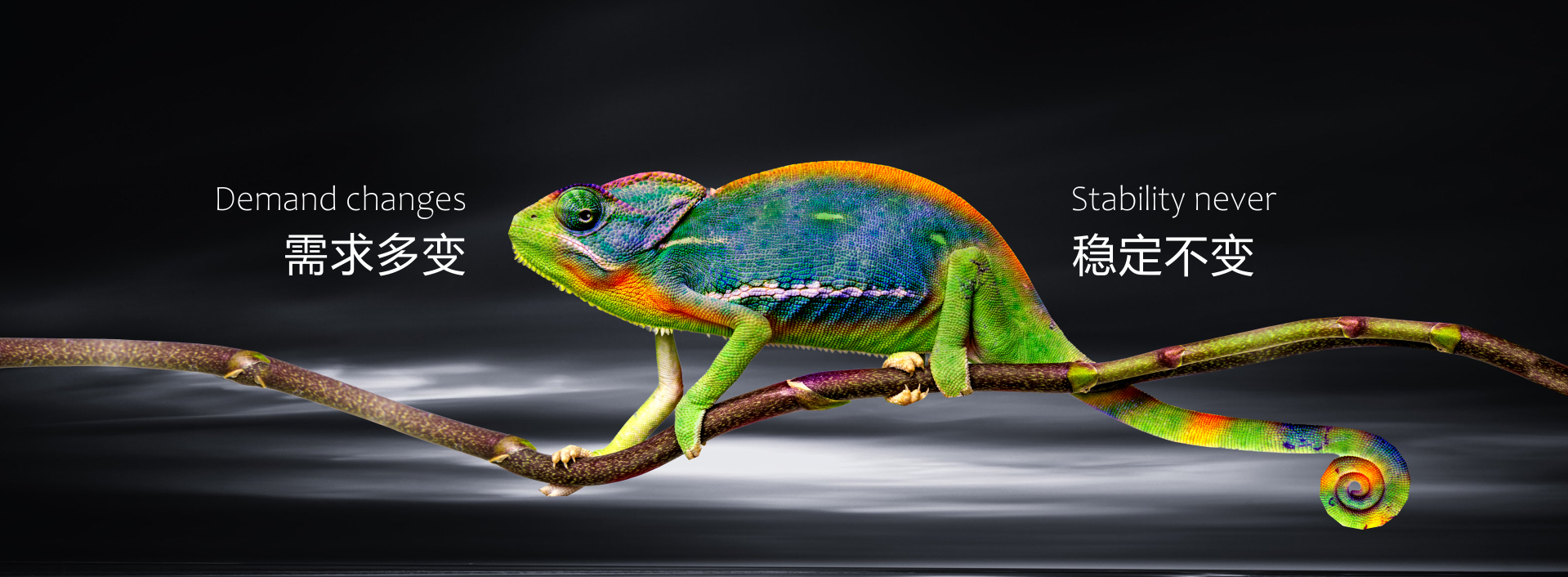  世界杯压球官网(China)官方网站